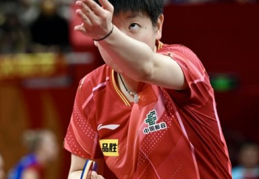 中国乒乓男团斩获瑞典险胜，五连冠夺冠奥运巅峰