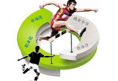 体育体制的特点体现在具有什么