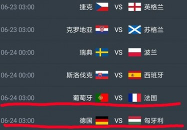 法国欧洲杯战绩解析计算方法与历史回顾