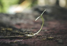 高考2020，挑战与机遇并存的一年