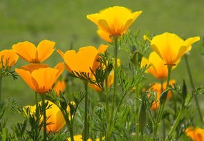 广州海珠区疫情新动态，9日新增2例阳性的深度解析