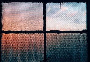 探索体育世界的窗口，新浪体育_新浪网官网的魔力