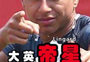 欧洲杯为什么f组