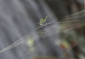 北京疫情新动态，新增3例本地确诊病例的详细解析