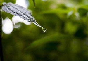 长春今日疫情，最新动态与防控措施解析