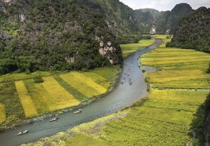 8例本土新增，疫情新动态，我们如何保持警惕？