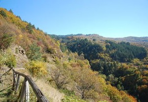 疫情新动态，31省份新增死亡病例3例，全国防控形势与应对策略解析
