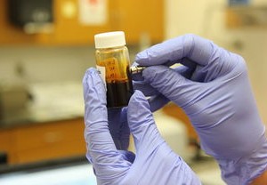 保定疫情最新动态，今日情况综述与防控措施解析