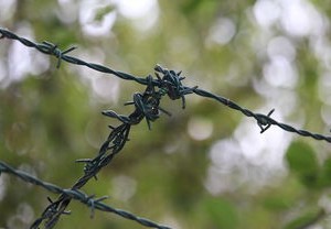 4日山东疫情速报，了解最新动态，共同守护健康