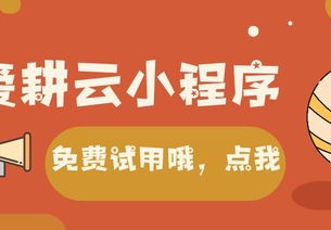 体育类培训课程