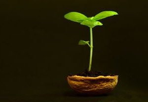 中国疫情最新动态，防控成果显著，经济复苏稳步推进