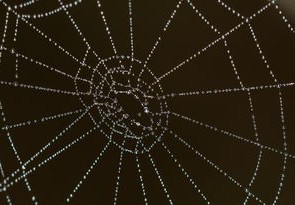 彩票预测，科学与直觉的结合