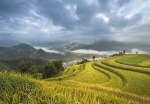 小果庄村，一个充满生机的农村发展典范