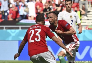 法国队欧洲杯被淘汰