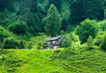 葛仙山疫情，防控、影响与未来展望