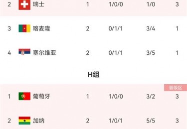 欧洲杯第一场比赛结果