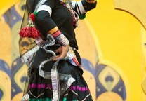 石家庄疫情新动态，新增27例本土确诊病例，防控措施与居民生活影响分析