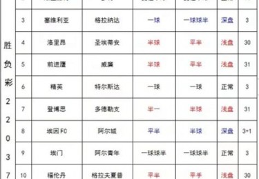 荷乙联赛升级规则