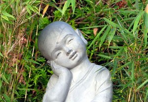 深入解析，中国31省新增本土确诊2276例背后的疫情动态与防控策略
