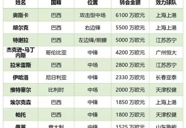 2024欧洲杯中国赞助商