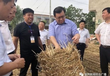 1.设施概述