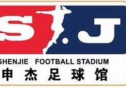 虎扑中国足球激情、挑战与未来