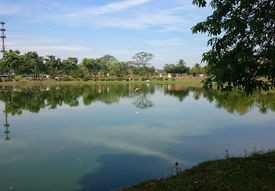 疫情动态，31省区市新增5例本土确诊的解读与应对