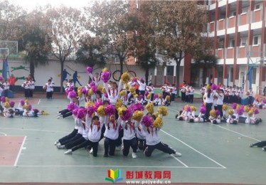 乡村体育振兴是什么