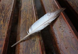 通州抗疫日记，北京通州疫情最新动态全解析