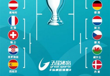 欧洲杯淘汰情况
