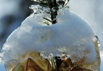 冰雪盛宴的尾声，北京冬奥会明日闭幕，留下难忘的记忆与未来的梦想