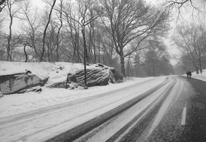 石家庄的大雪，一场冬日的视觉盛宴与生活的微妙变化