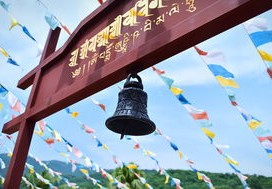 探索味蕾与文化的奇妙之旅