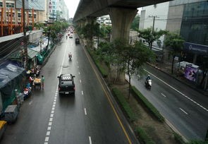 上海惊现一只在逃吗喽