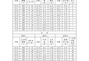 体测成绩计算器