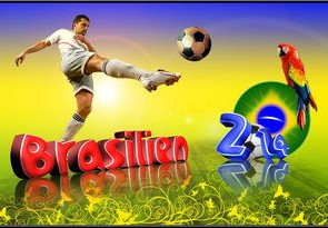 2014世界杯冠军