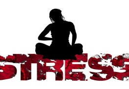 李行亮开车崩溃大哭，现代生活中的压力释放与情绪管理