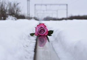 新人国庆首日冒雪结婚，爱情如雪，纯洁坚定