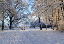 冰雪奇缘，冬残奥会，让梦想在雪地中绽放