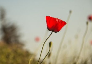 贵州疫情新动态，今日增加1例疑似病例的深入解析与应对策略