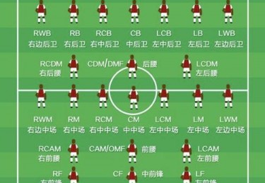 巴西参加2021欧洲杯吗