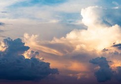 津云疫情最新消息今天，携手共筑健康防线