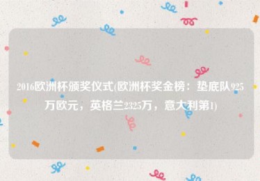 2020年欧洲杯奖金