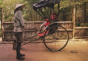 小客车摇号结果查询，如何轻松掌握摇号动态，提高中签率？