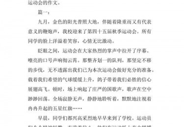 关于新高考改革的作文