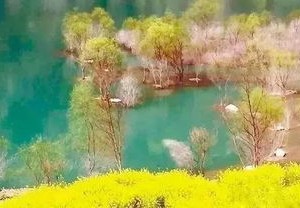 安然,是岁月深处的一种静好
