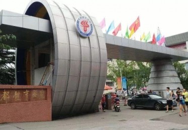 成都大学排名前十的学校