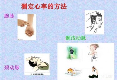 体育教学的负荷包括