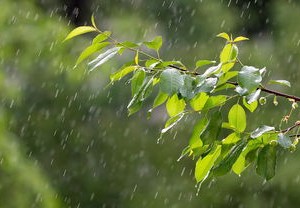 黑龙江疫情新动态，新增本土确诊病例10例，我们如何应对？