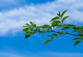 石家庄疫情新动态，5名学生确诊，如何有效应对与防护